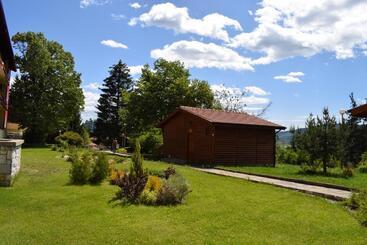 هتل Velingrad Balneo