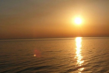 تختخواب و صبحانه Il Falco E Il Gabbiano