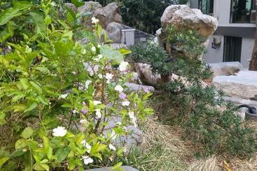 هتل Lotus Premium Lodge