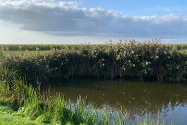 Slapen Bij De Stewardess B&b Almere