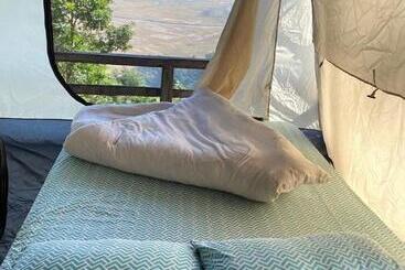 استراحتگاه Back To Nature