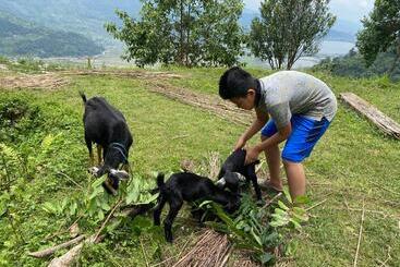 استراحتگاه Back To Nature