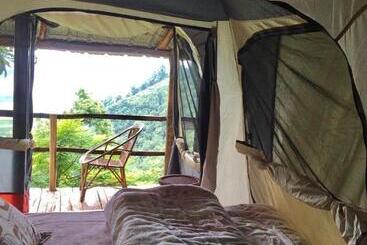 استراحتگاه Back To Nature