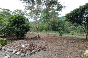 تختخواب و صبحانه Fevu Vera Forest House
