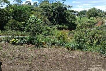 تختخواب و صبحانه Fevu Vera Forest House