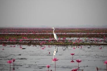 پانسیون Hormduk Resort