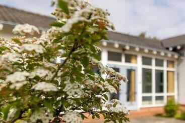 B&b Kroontjesduin
