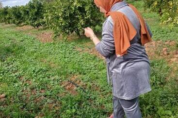 ریاض Dar Limoune