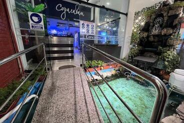 هتل Copacabana