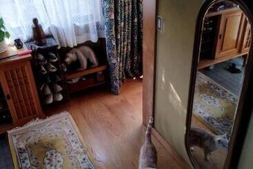 پانسیون Private Twin Room In Ishinomaki, Max 4 Person, Non Smoke, Free Parking, Cat Island 2