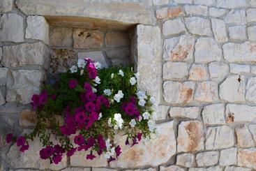 Bed & Breakfast La Collinetta