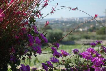 تختخواب و صبحانه Masseria Serralta