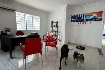 پانسیون Calipso Dive And Pet Center