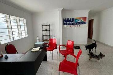 پانسیون Calipso Dive And Pet Center