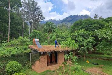 هاستل Blend Lodge And Kitchen   Pakachere