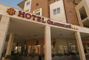 هتل Granducato