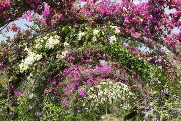 هتل Tropical Magnolia