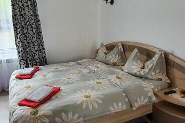 پانسیون Casa Guşă