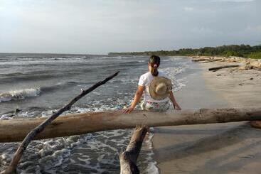 Urantia Beach Hostel & Camping