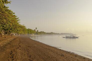 Mike's Dauin Dive Resort