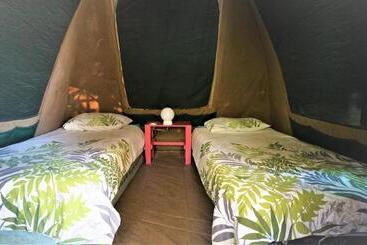 هاستل Hazyview Adventure Backpackers