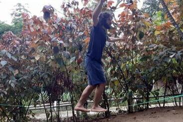 هاستل Hazyview Adventure Backpackers