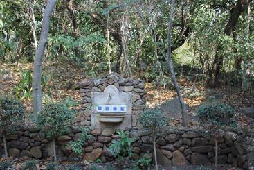 住宿加早餐  Ashbourne Country Escape Hazyview