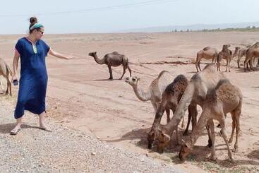 تختخواب و صبحانه Riad De Reve