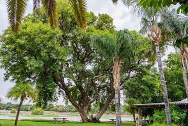 تختخواب و صبحانه Riverbank Lodge