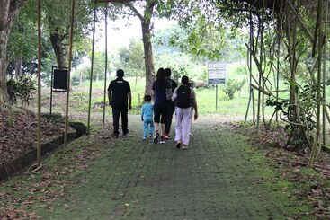 The Orchard Resort & Spa Melaka