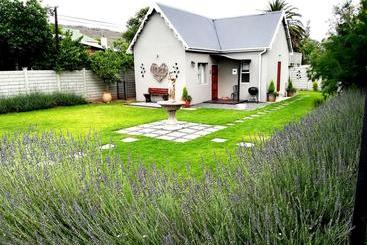 Tranquil House B&b @ 1 College Ave