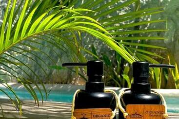 تختخواب و صبحانه Pacha Tulum