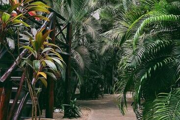 تختخواب و صبحانه Pacha Tulum