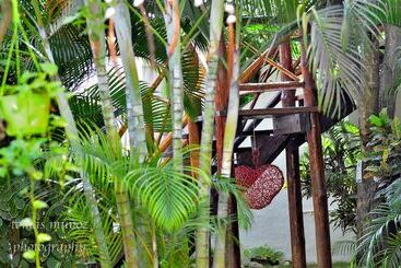 تختخواب و صبحانه Pacha Tulum
