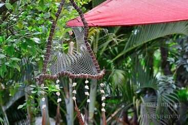 تختخواب و صبحانه Pacha Tulum