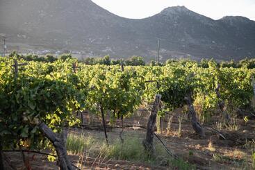 Terra Del Valle Bed & Breakfast