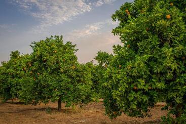Terra Del Valle Bed & Breakfast