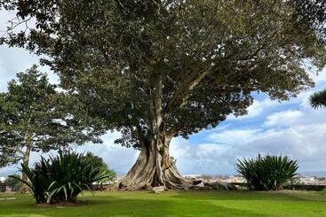 تختخواب و صبحانه Solar Dos Cantos Botanic House & Garden