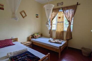 Backyard Hostel