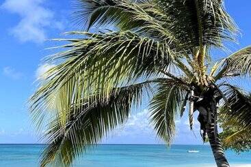 هتل Osprey Beach