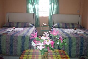 هتل Stephanie S Apartments Ltd
