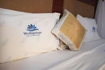 هتل Wellsprings