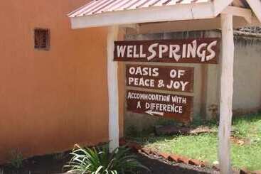 هتل Wellsprings