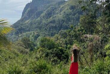 تختخواب و صبحانه Zion View Ella Green Retreat