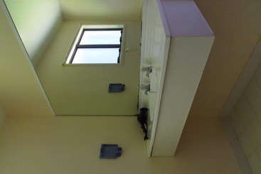 Kapiti Lindale Motel And Conference Centre