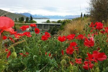 Marie Therese Bed & Breakfast
