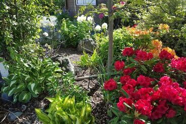 Marie Therese Bed & Breakfast