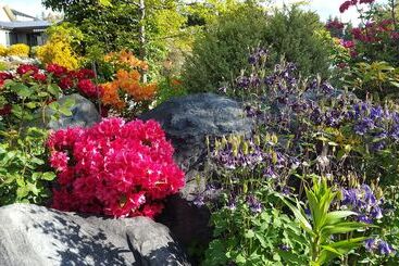 Marie Therese Bed & Breakfast