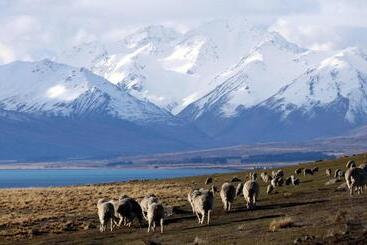 Tailor Made Tekapo Accommodation   Hostel