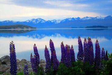 Tailor Made Tekapo Accommodation   Hostel